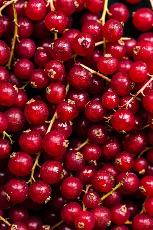 Kızılcık Özü (950 g)